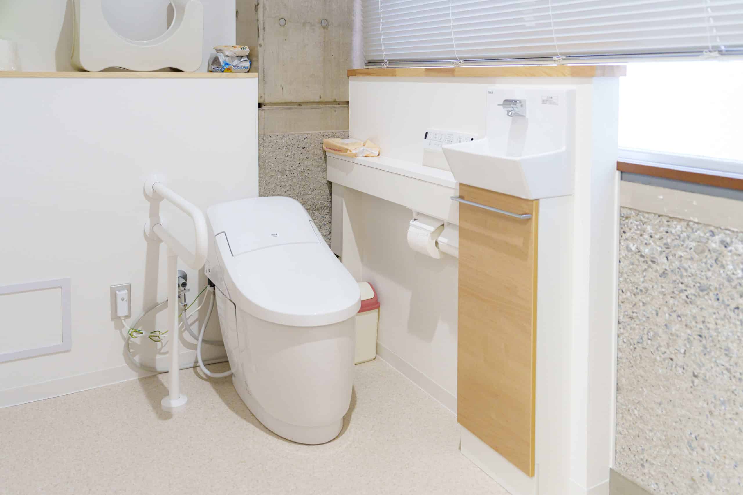 20250725Hitotsuboshi 236 A7A0873 scaled