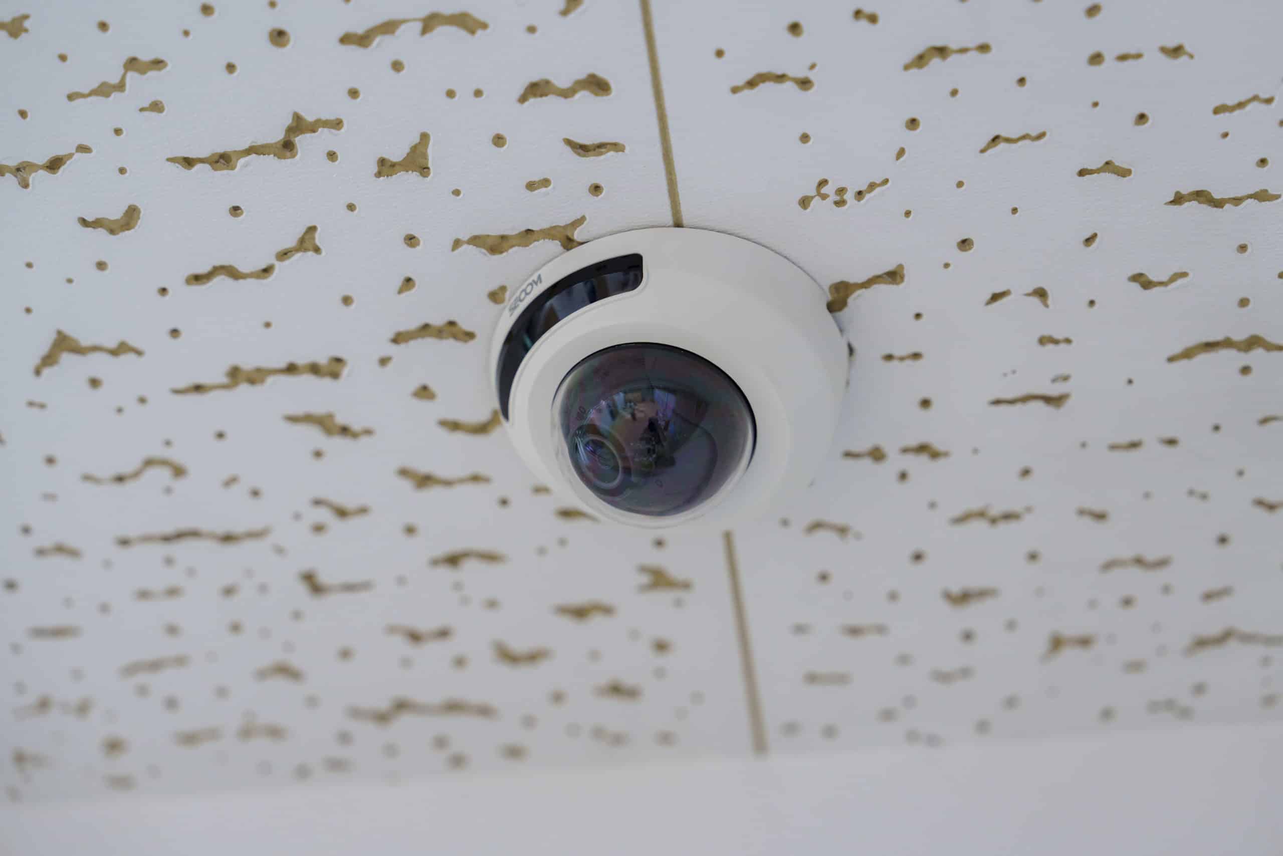 20250725Hitotsuboshi 247 A7A0887 scaled